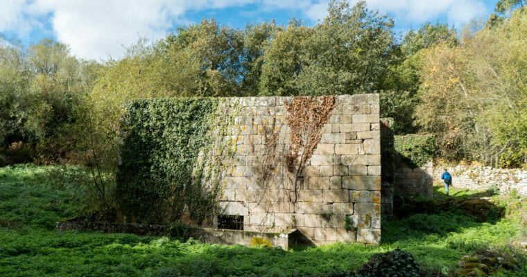 Descubre los misterios de la antigua Galicia en la Ruta de los Petroglifos de Ourense