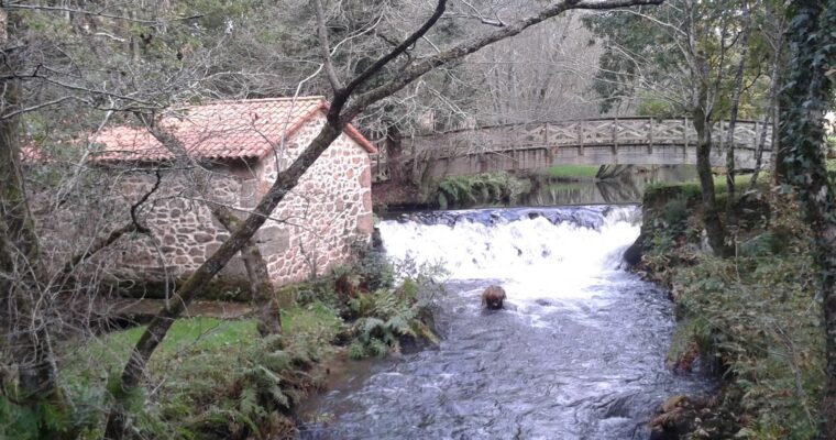 Que ver en el Municipio de A Laracha en A Coruña