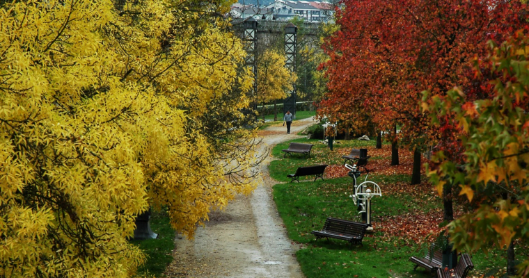 Descubre el encanto del Casco Histórico y la majestuosidad de la Catedral de Ourense